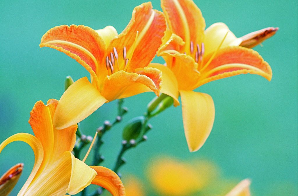 This Blog Needs a Name!