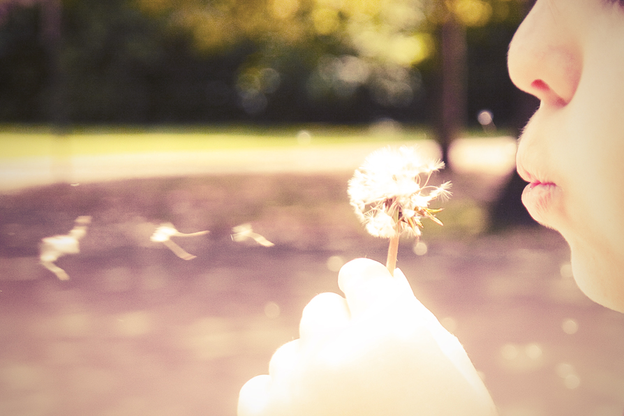 What Do You Want Most?